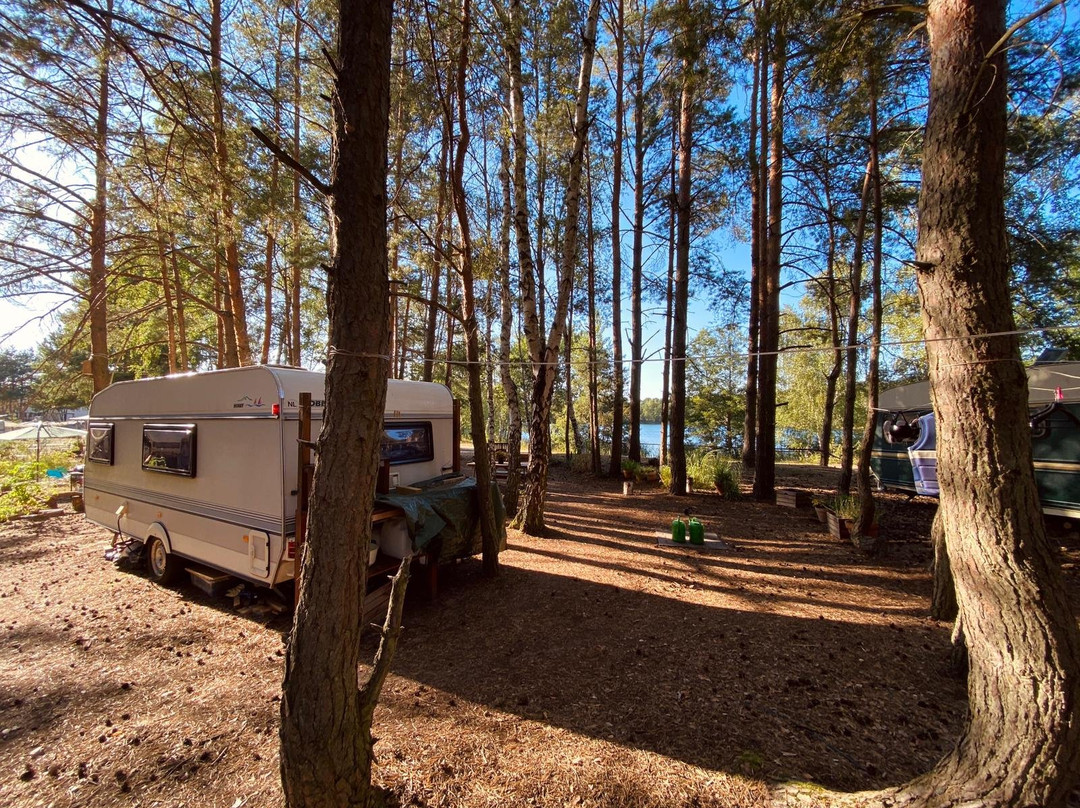 Wake and Camp-Marienwerder必去景点