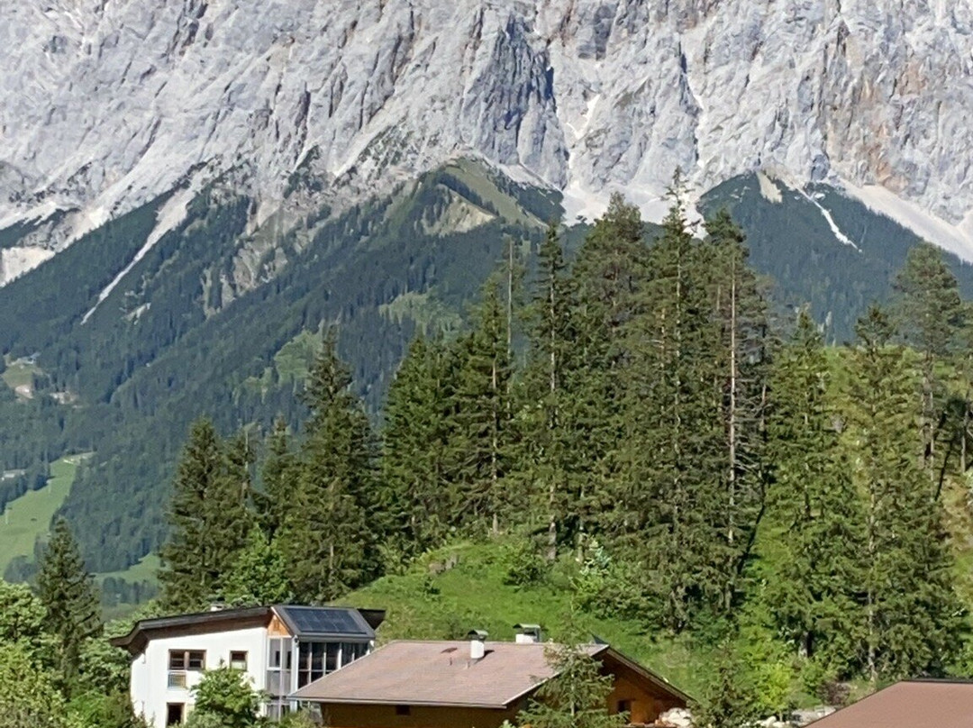 Hotel Alpina-Regina主图