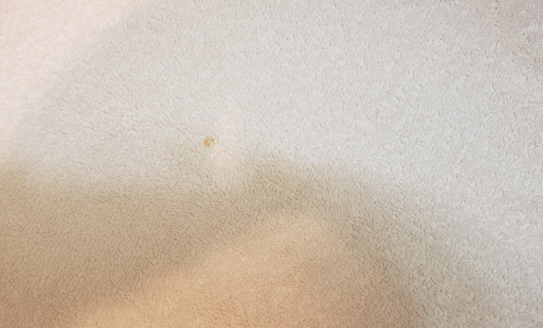 Econo Lodge Inn & Suites Dubuque