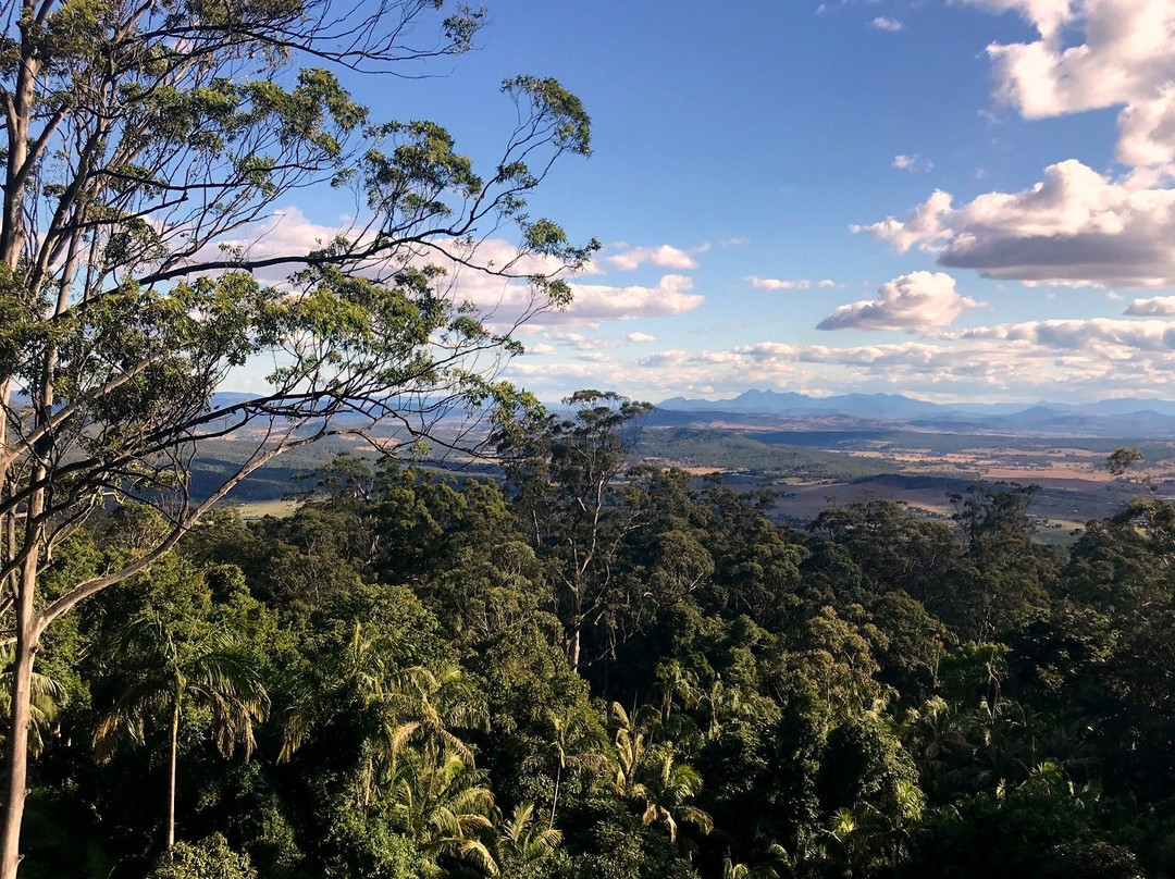 鳄梨日落住宿加早餐酒店主图