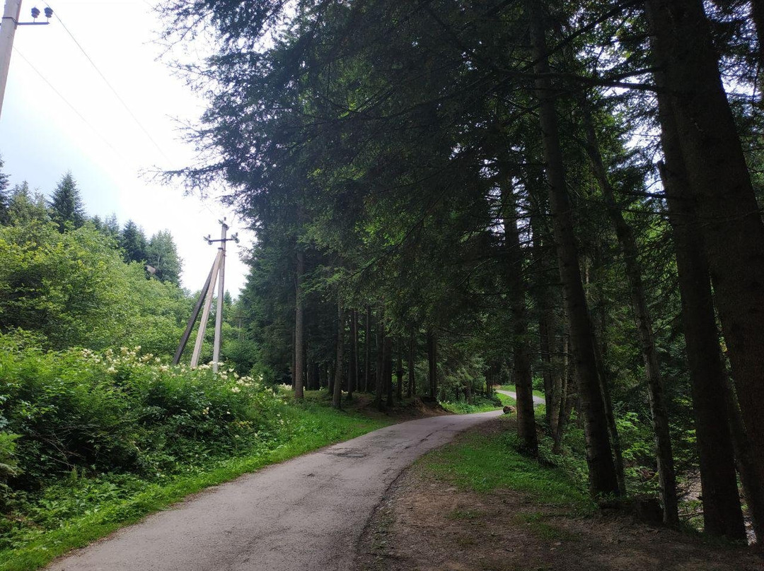 National Park Skole Beskids-Skole必去景点
