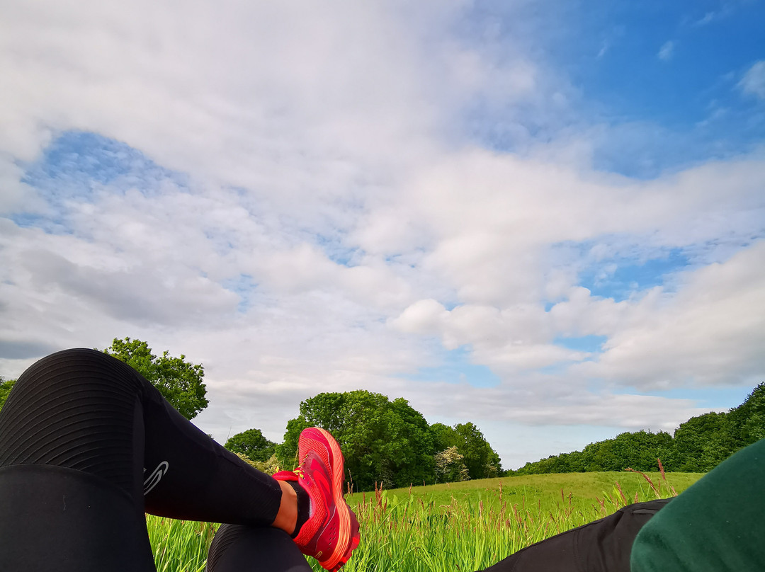 Hartshill Hayes Country Park-纽尼顿必去景点