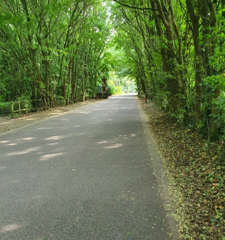 Colne Valley Park Visitor Centre and Riverside Café-Denham必去景点