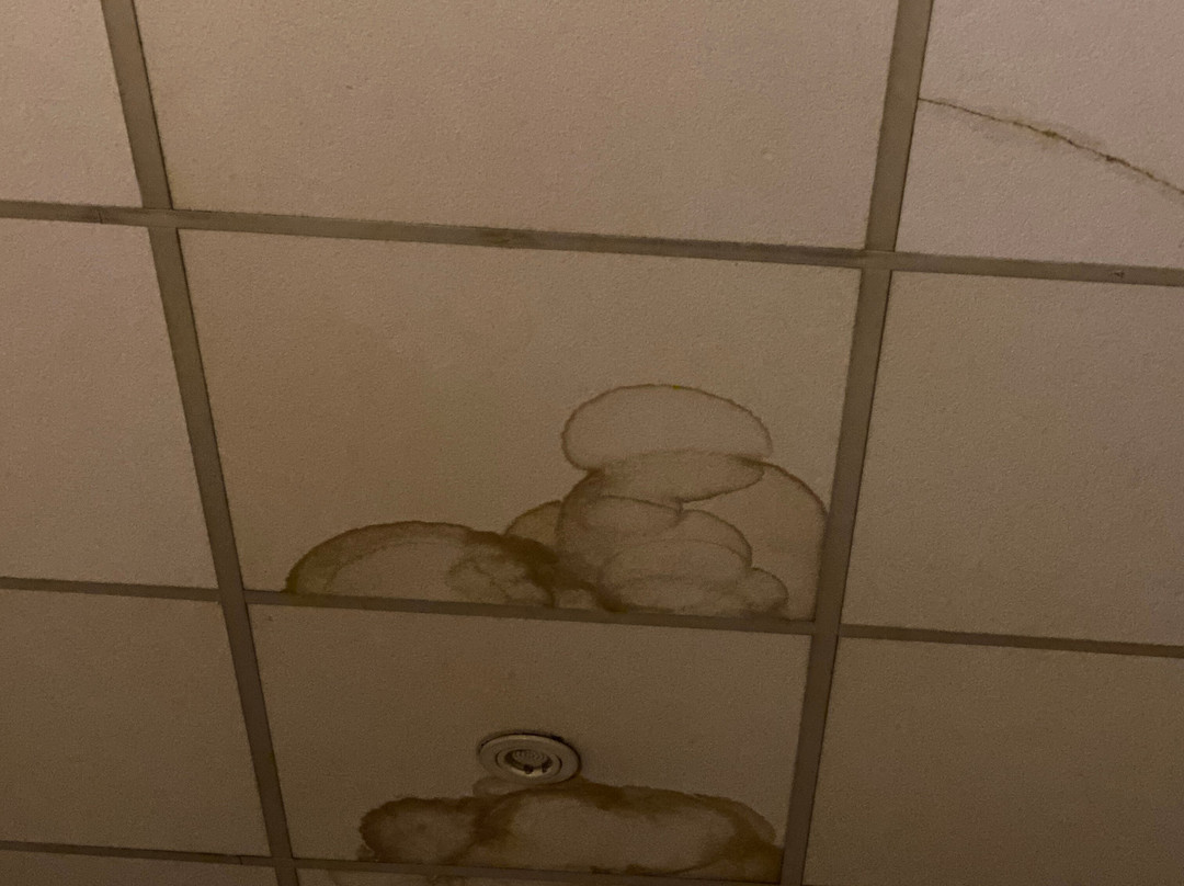 阿讷西法斯特酒店主图