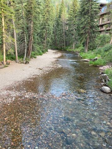 Manor Vail Lodge主图