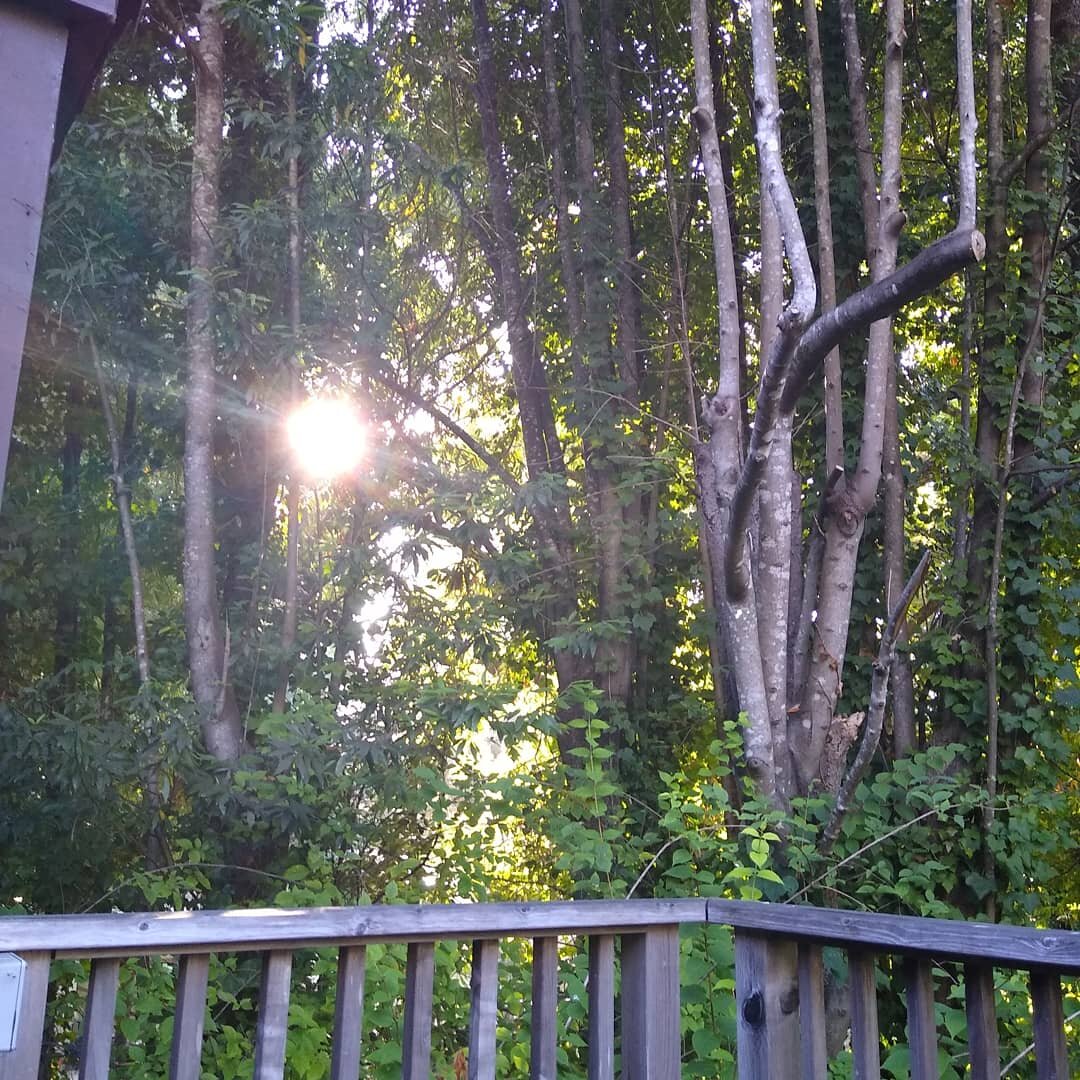 Creekside Inn & Resort-官方