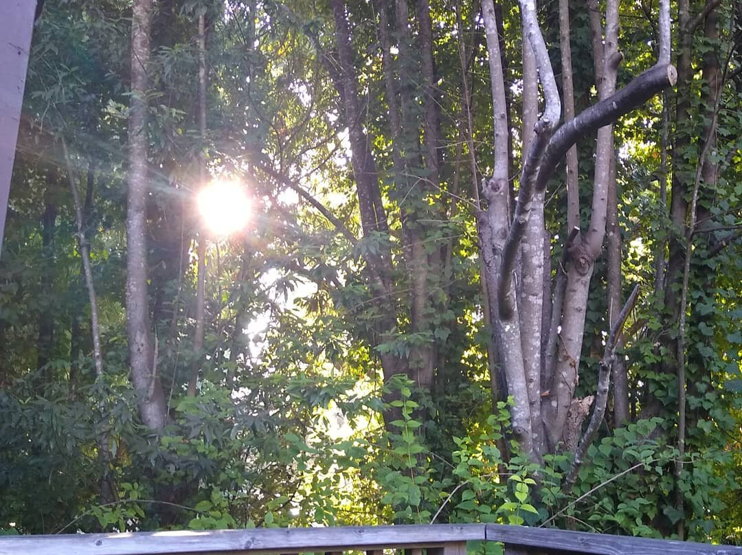 Creekside Inn & Resort主图