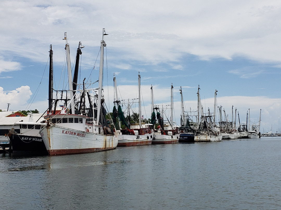 Just Add Water and Sun-那不勒斯必去景点