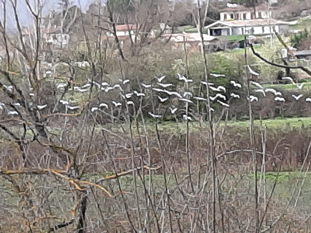 Village de Loisirs le Lomagnol景点图片