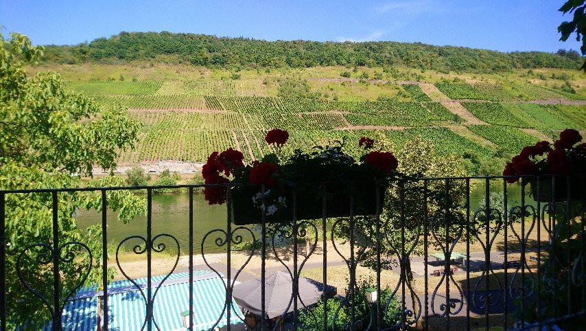 Ferienweingut Haus Karina主图