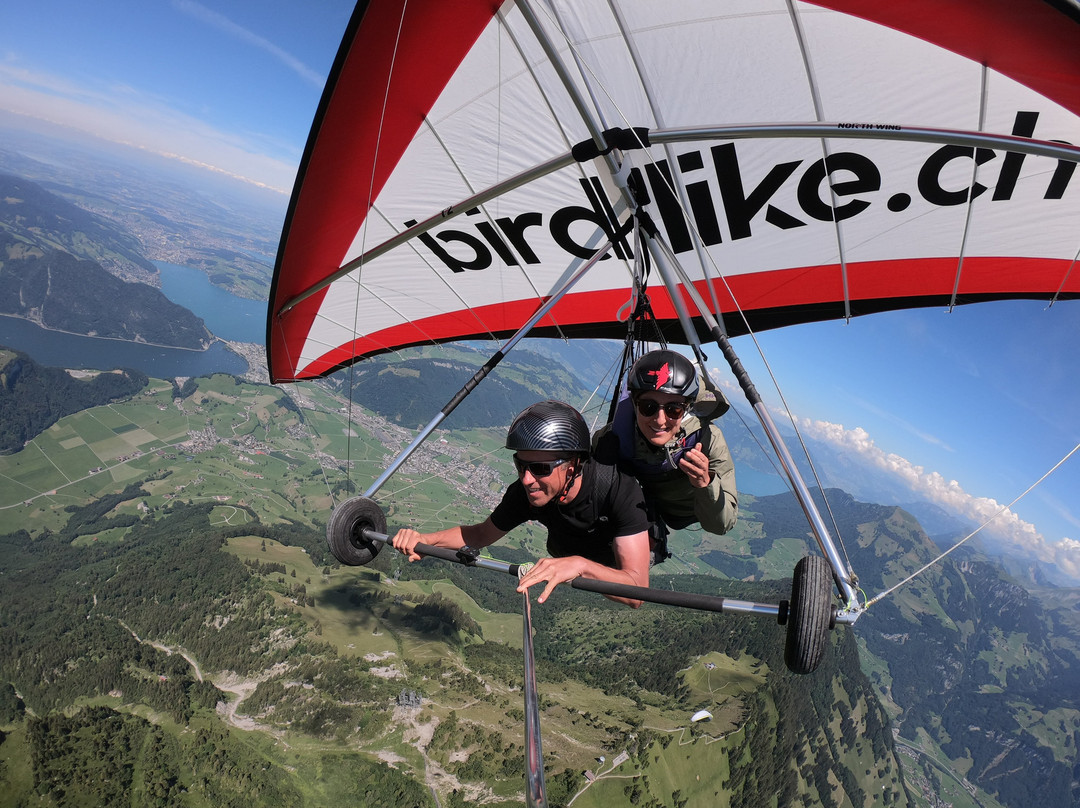 Birdlike Hang Gliding-Ennetmoos必去景点