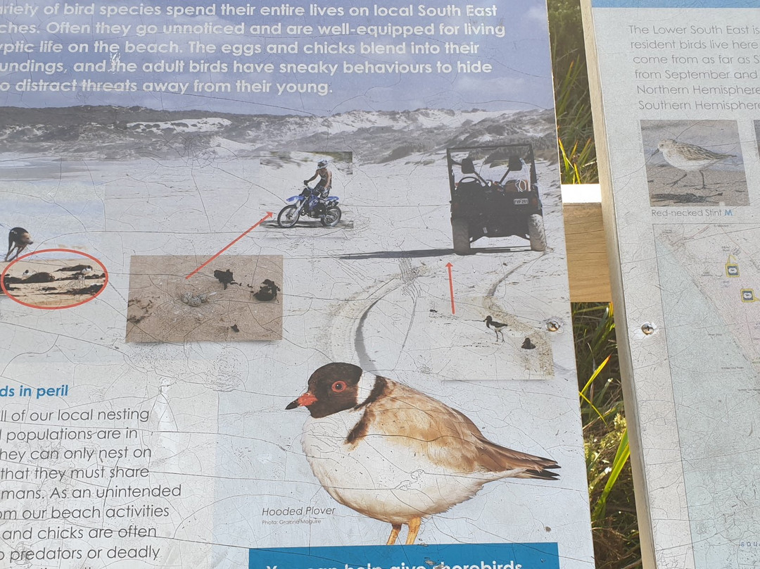 Cape Banks Lighthouse-Carpenter's Rocks必去景点