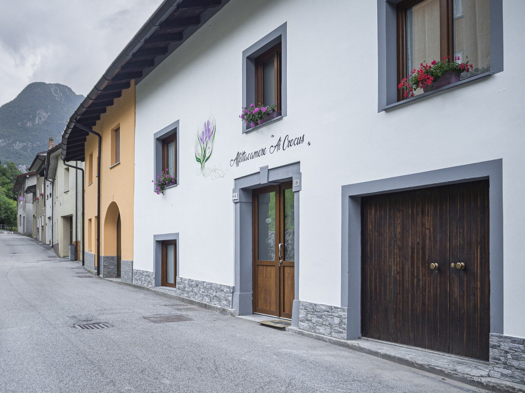 Affittacamere ai Crocus主图