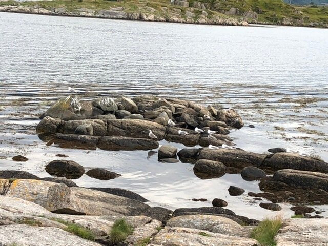 Hustadvika Havhotell - By Classic Norway Hotels主图