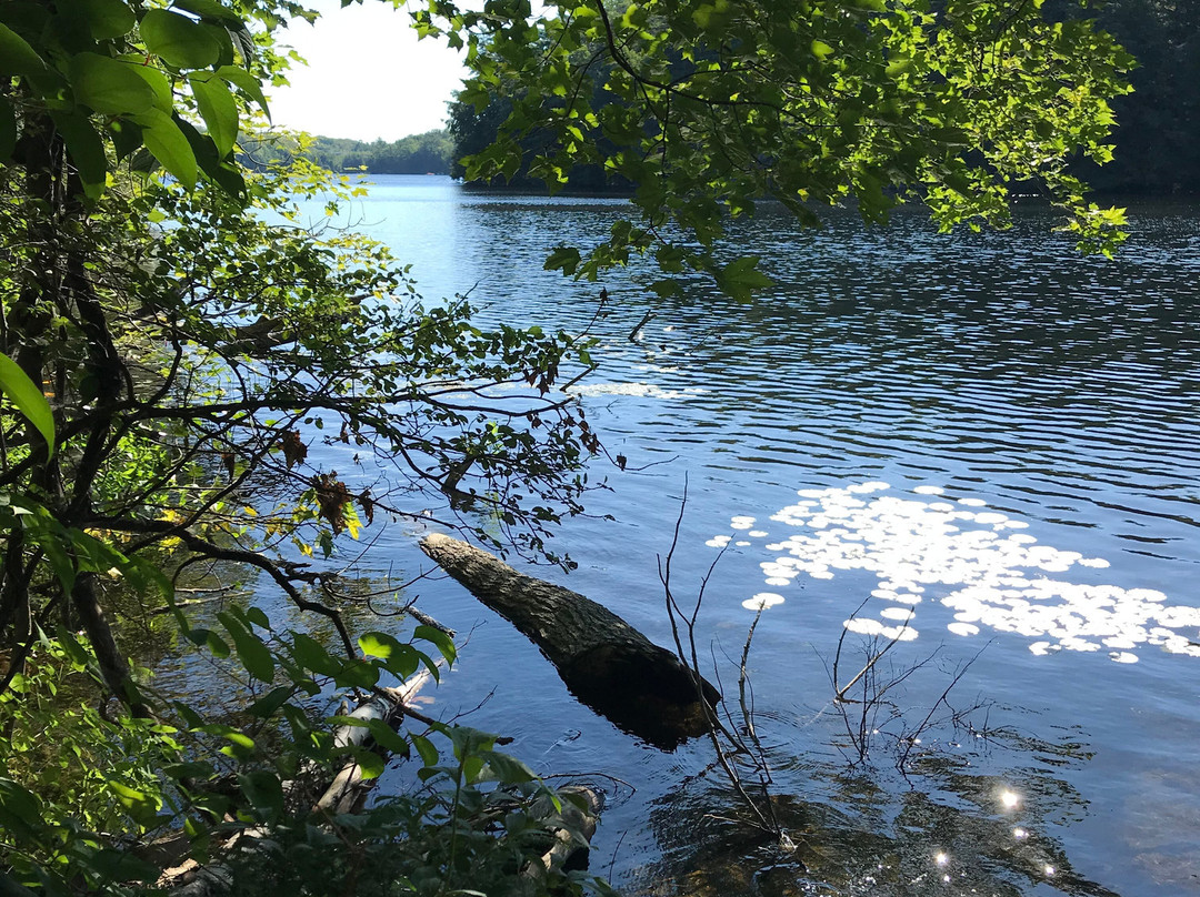 Oastler Lake Provincial Park-帕里桑德必去景点