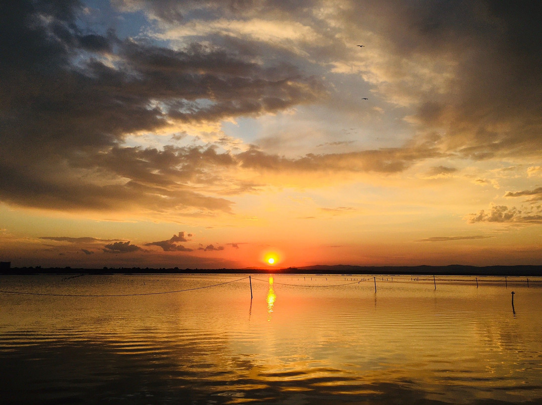 Pomorie Lake-帕莫瑞必去景点