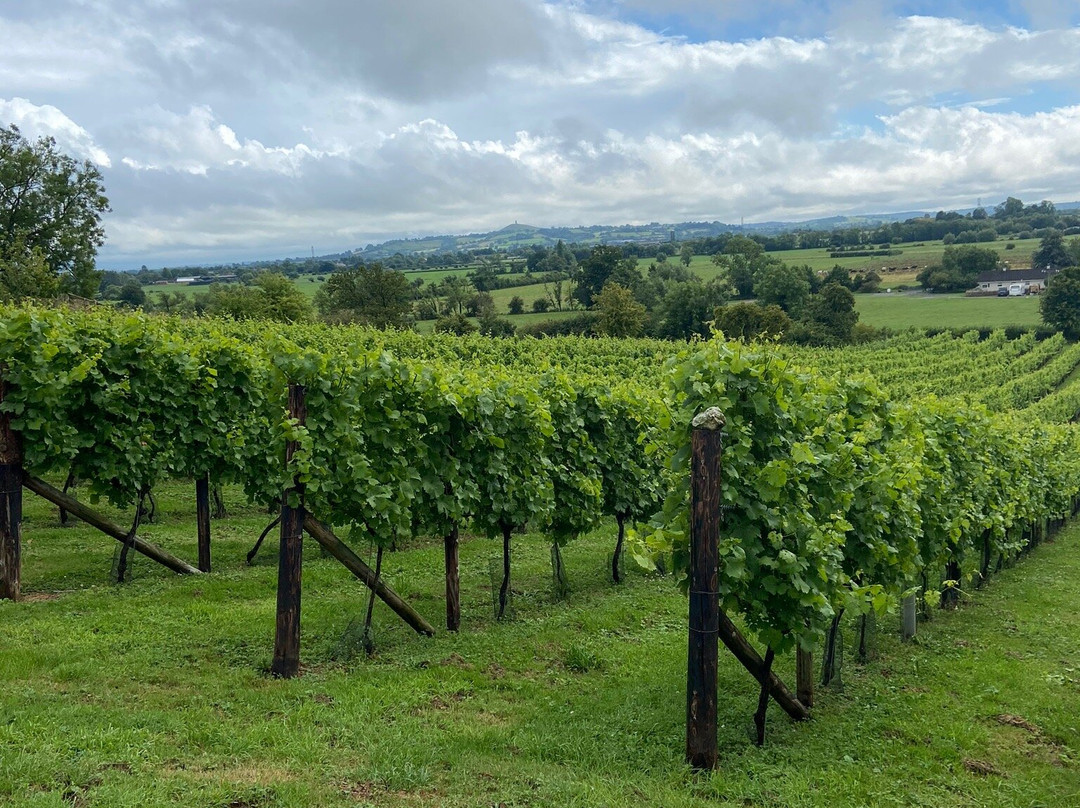 Fenny Castle Vineyard景点图片
