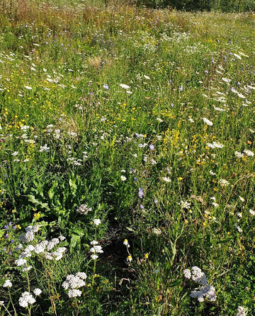 Comberg Park-Mettmann必去景点