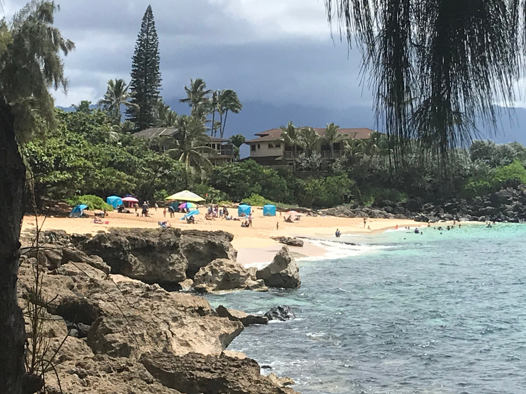 Three Tables Dive Site-Pupukea必去景点