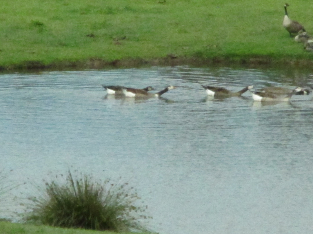 Biotop Beeden-Homburg必去景点