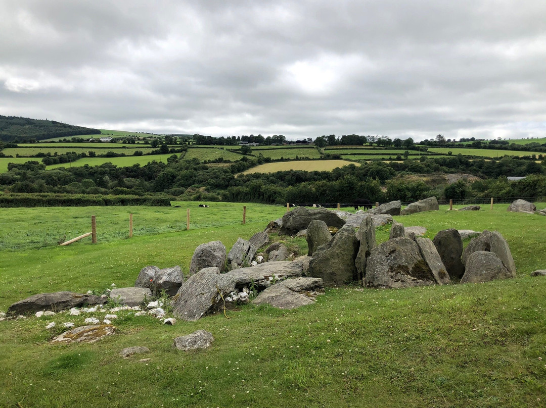 Knockroe Passage Tomb-基尔肯尼必去景点