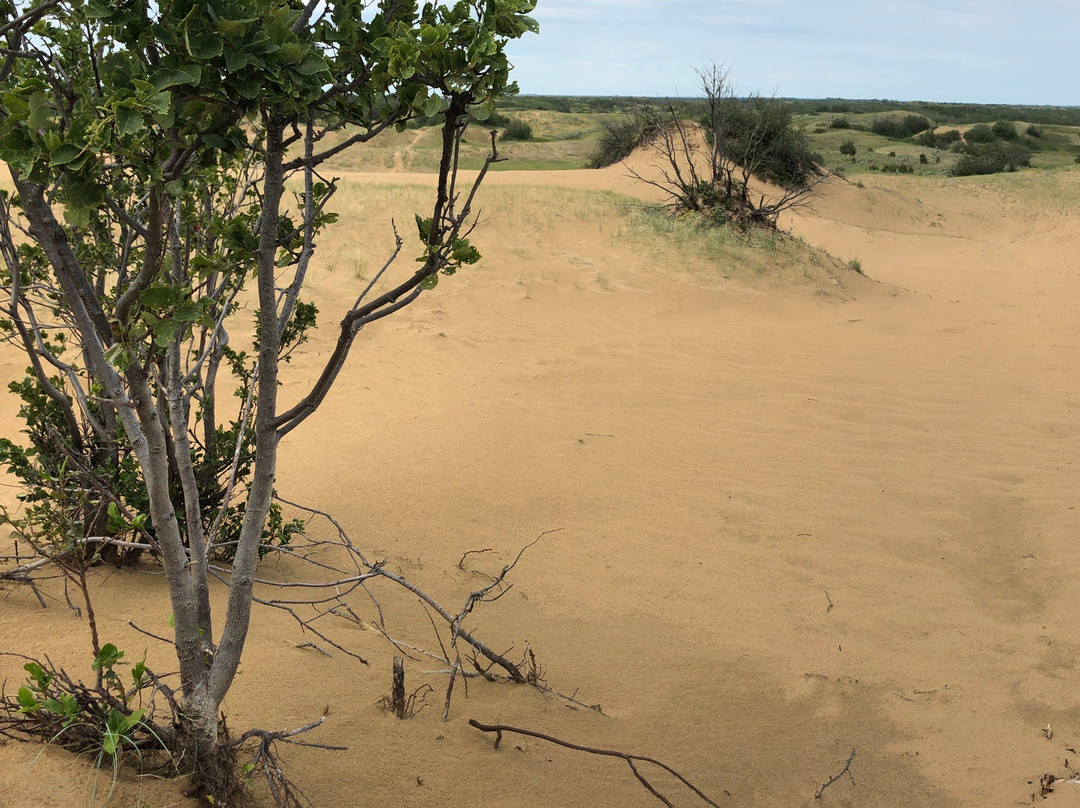 Douglas Provincial Park-Elbow必去景点