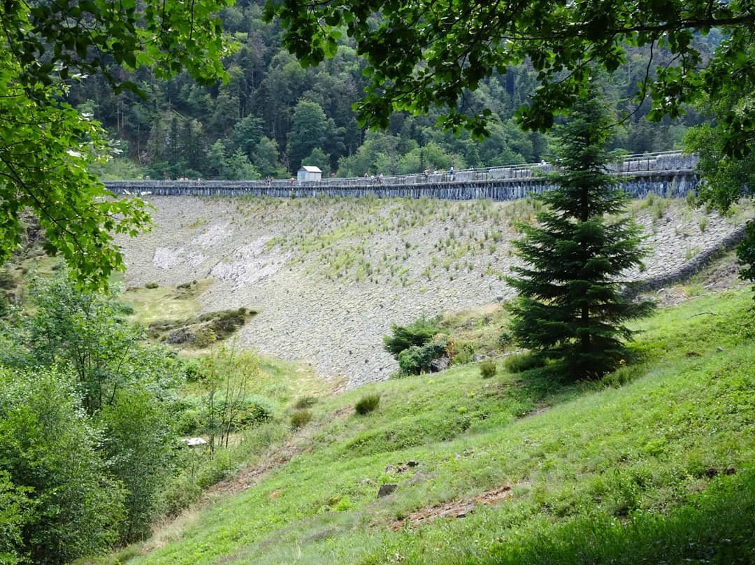 Lac d’Alfeld景点图片