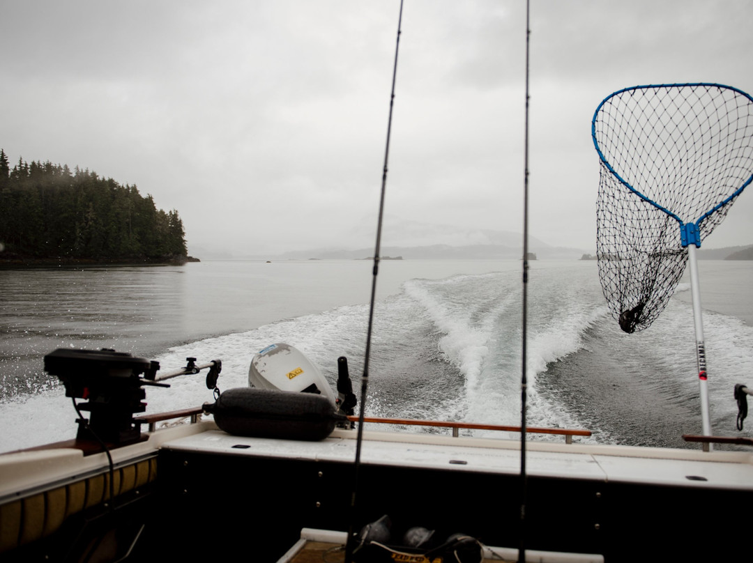 Grey Ghost Fishing and Adventure Tours景点图片
