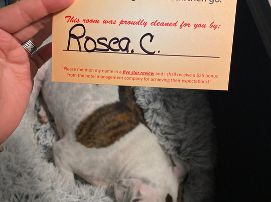 Super 8 by Wyndham Sonora主图