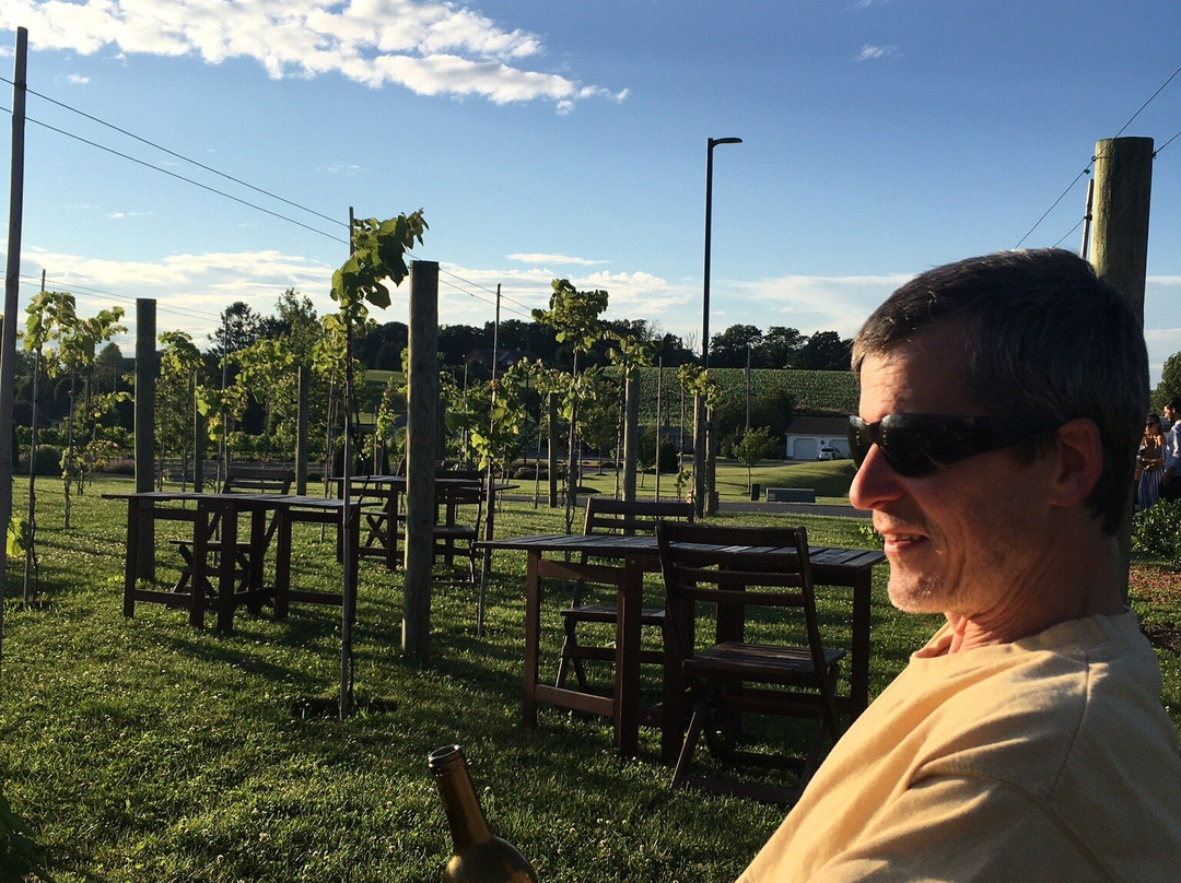 Folino Estate Vineyard & Winery-Kutztown必去景点