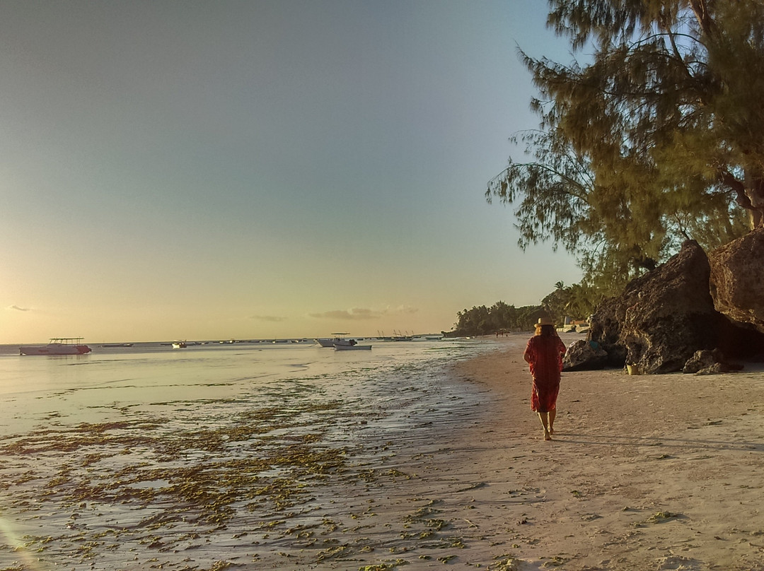 Mawingu Eco Village Zanzibar主图