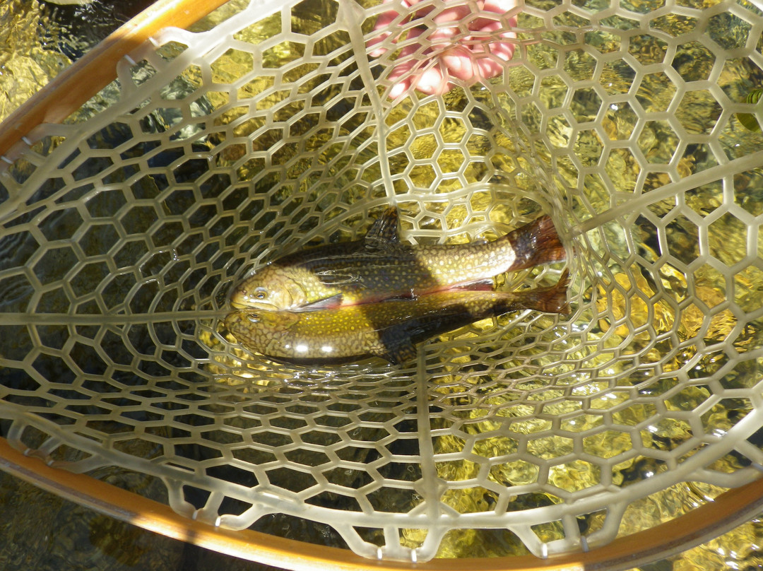 Northeast Fly Fishing School景点图片