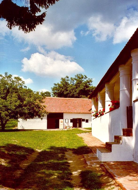 Mives Tojas Muzeum景点图片