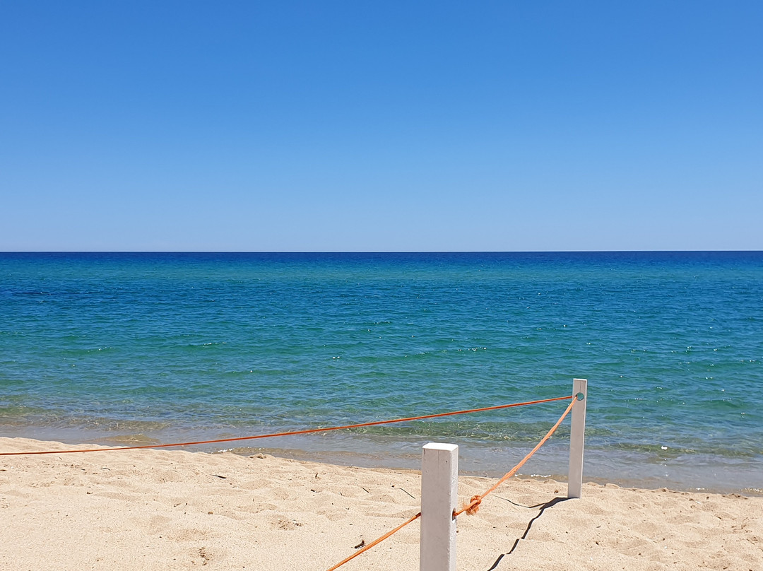 Spiaggia di Basaùra-Tortoli必去景点