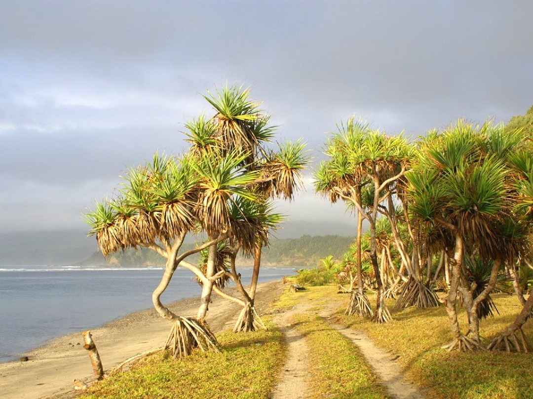Bay des Tortues Turtle Bay-塔纳岛必去景点