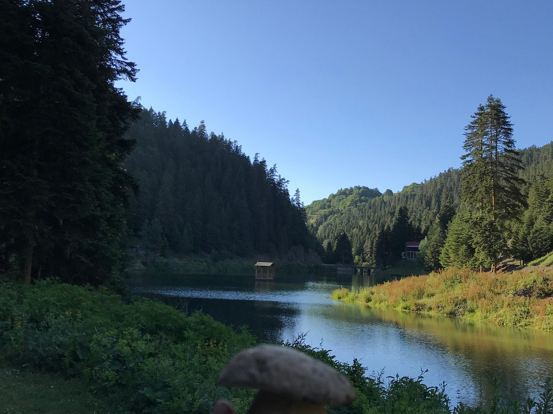 Akgol景点图片