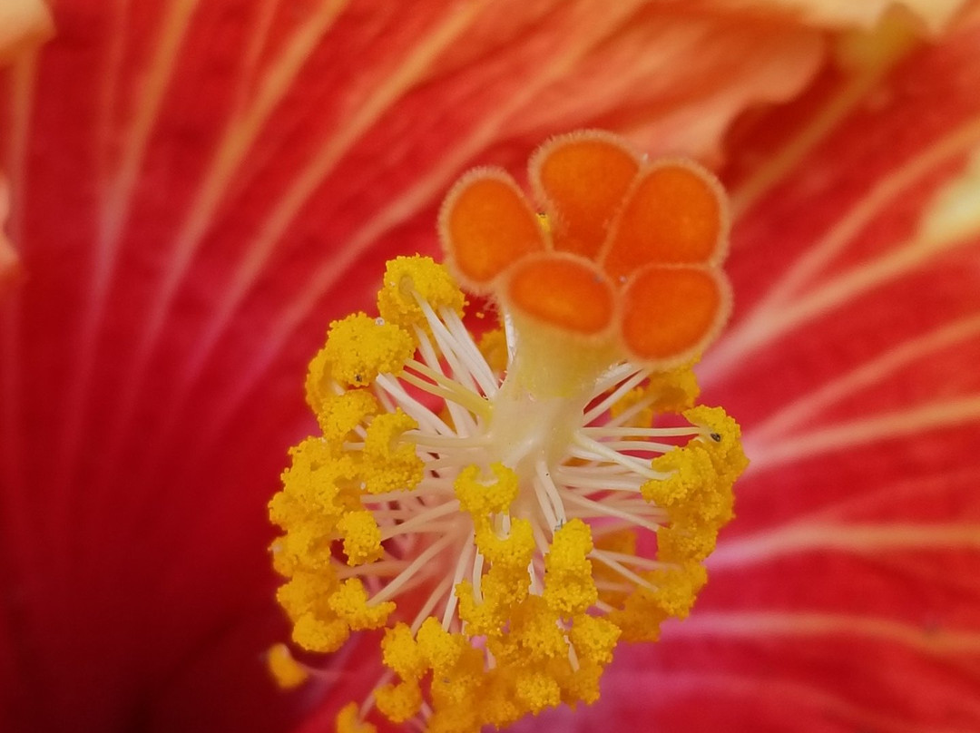 Mindo Nambillo Cloud Forest Reserve-明多必去景点