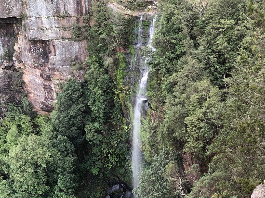 Fitzroy Falls Visitor Centre-Fitzroy Falls必去景点
