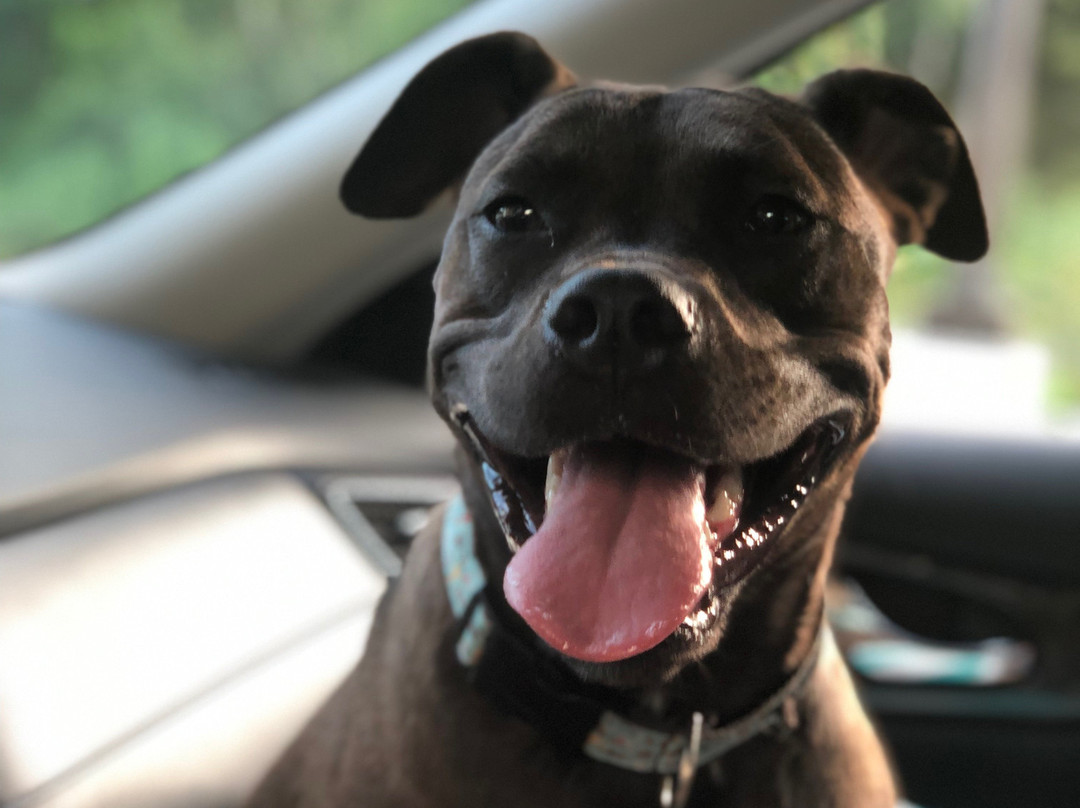 La Quinta Inn & Suites by Wyndham Cleveland TN主图