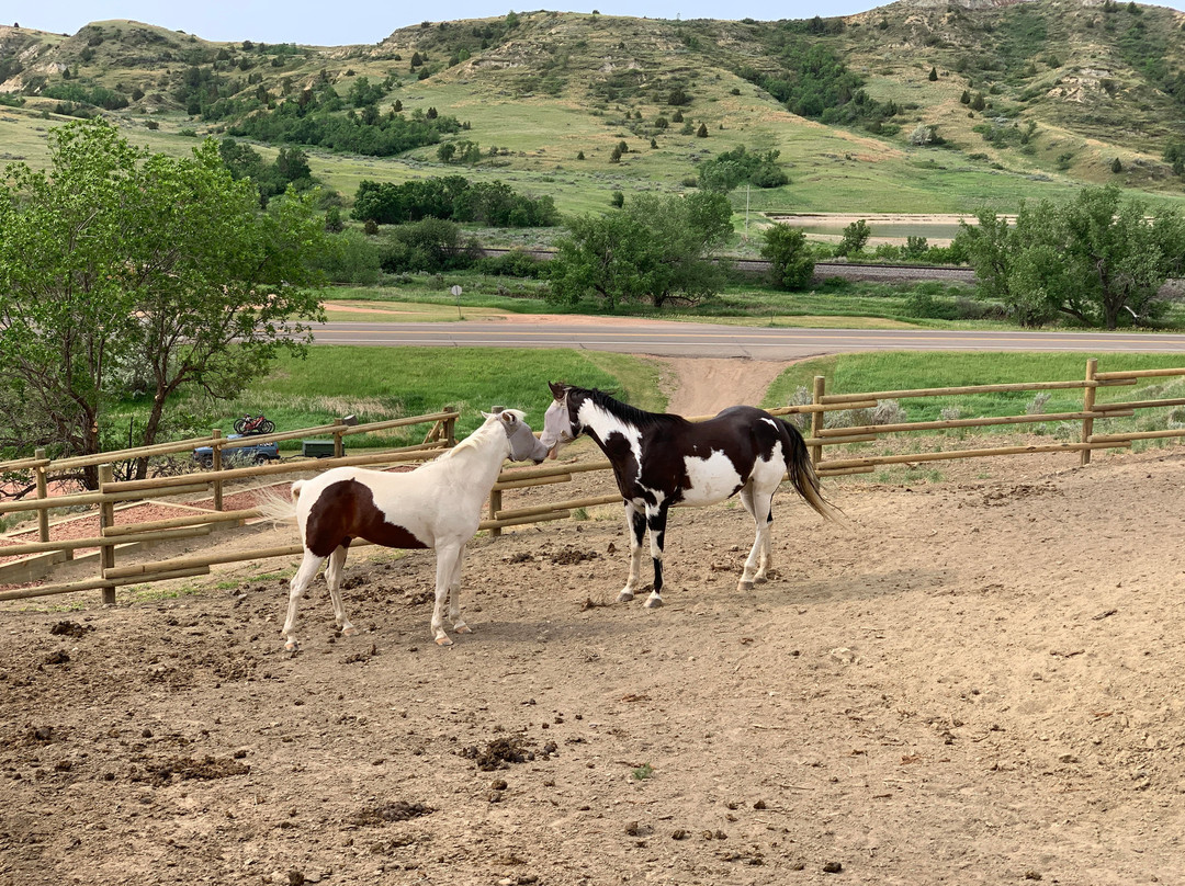Medora Riding Stables-Medora必去景点