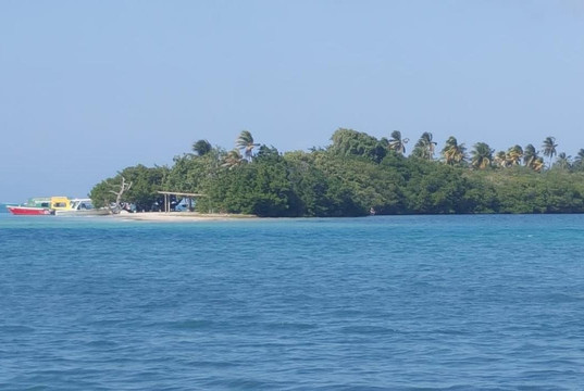 Brandon Tour's Tobago-克朗波因特必去景点