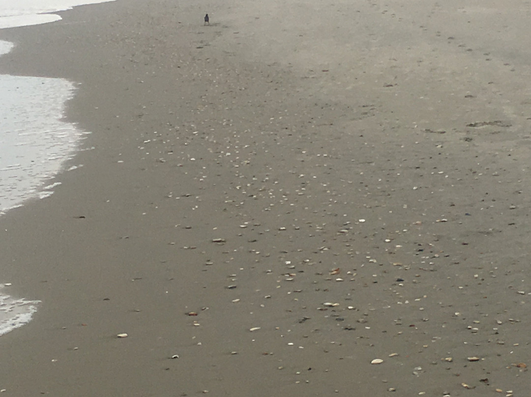 Frisco Beach景点图片
