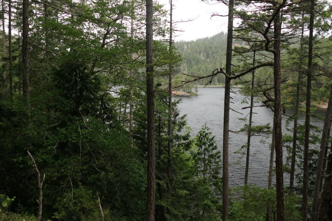 Matheson Lake Regional Park景点图片
