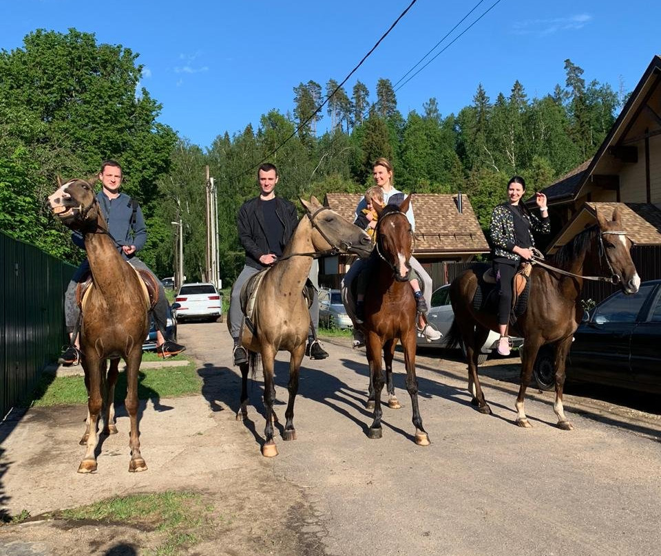 Horse Farm Dutkovo景点图片