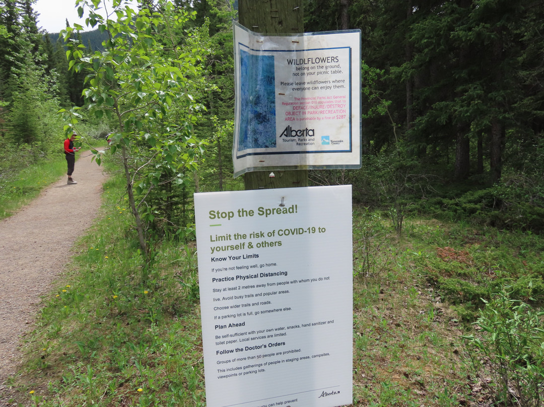 Bow Valley Provincial Park-卡那那斯基斯必去景点