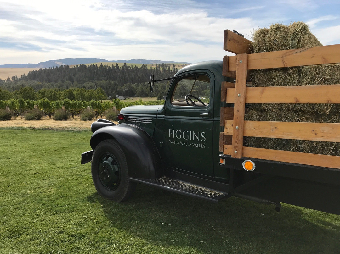 Figgins Winery景点图片