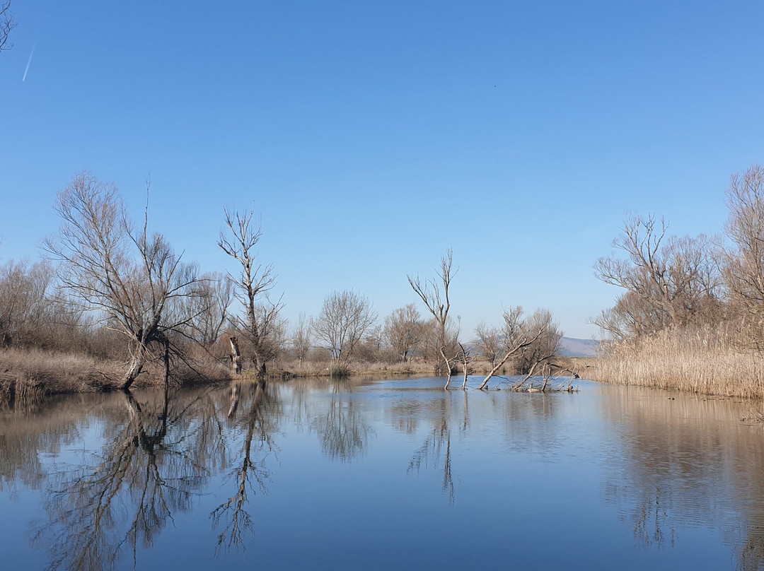 Nature Park Hutovo Blato景点图片