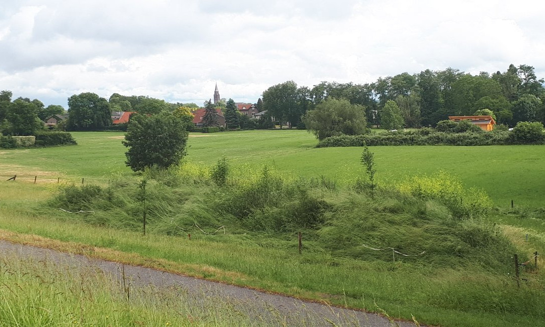 Bed & Breakfast MILLINGEN ON THE RHINE主图