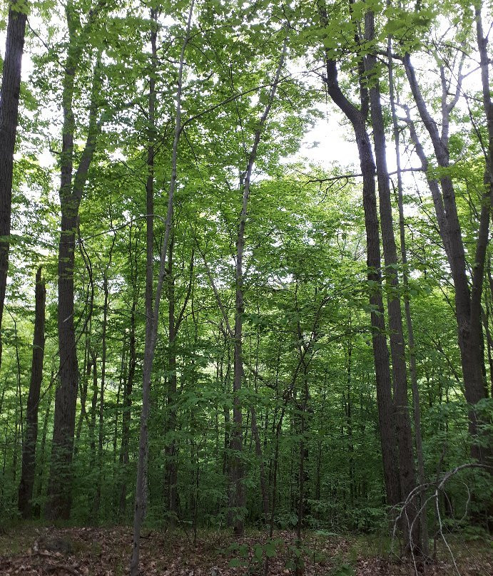 Frontenac Provincial Park-Verona必去景点