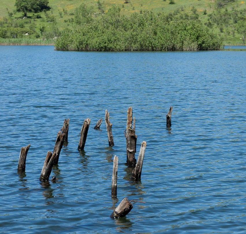 Lago Biviere景点图片